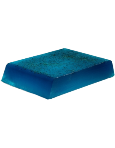 Savon Algues de La Grande Plage